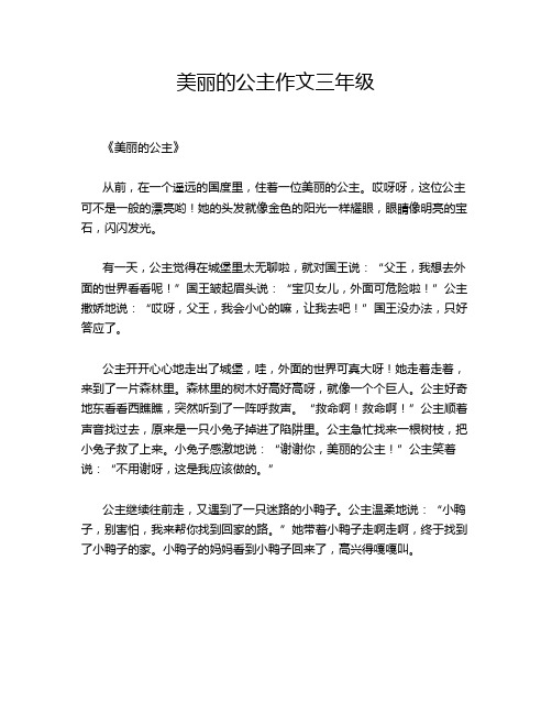 美丽的公主作文三年级