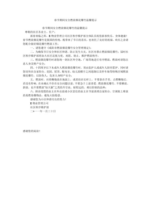 春节期间安全燃放烟花爆竹温馨提示