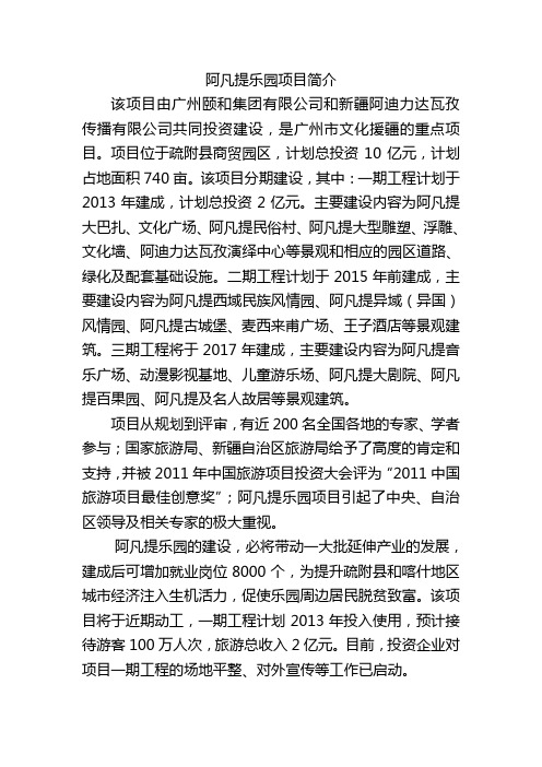 阿凡提乐园项目简介