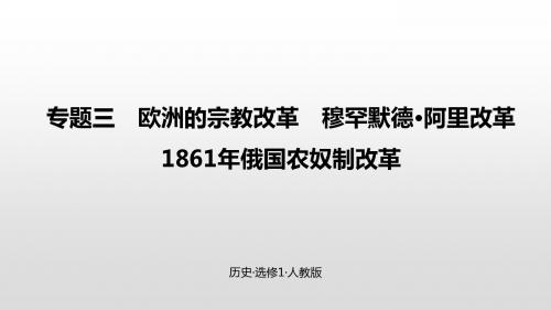 高考历史专题复习专题三 欧洲的宗教改革 穆罕默德·阿里改革  C模拟高考