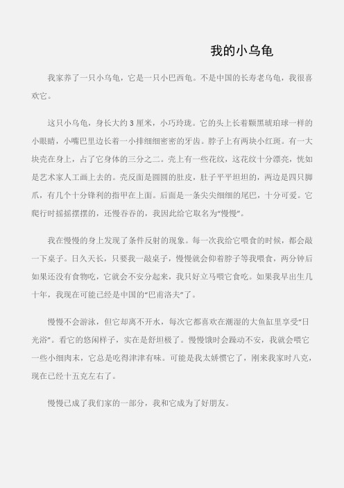 (创新作文)我的小乌龟