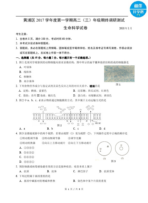 黄浦区2018届高三生物一模试卷及答案