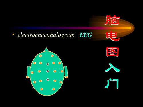 脑电图的入门