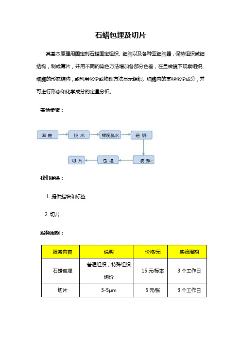 石蜡包埋及切片