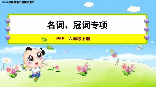 PEP六年级英语下册期末复习-名词、冠词专项