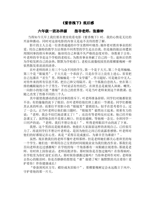 观后感孙泽源