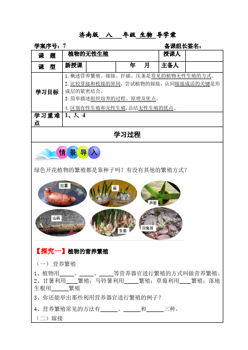 济南版生物七年级上册4.1.7植物的无性生殖(导学案)