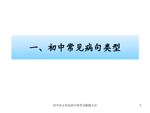 初中语文常见病句类型及解题方法 ppt课件