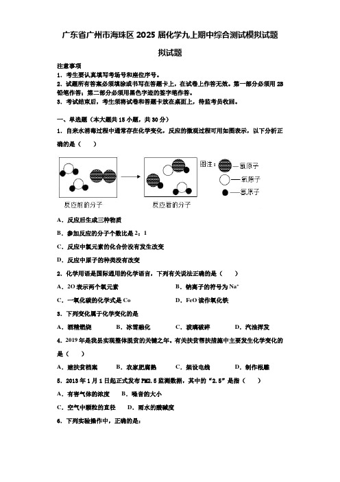 广东省广州市海珠区2025届化学九上期中综合测试模拟试题含解析