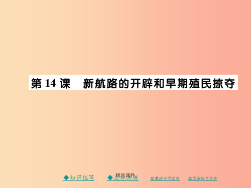 201x秋九年级历史上册第五单元资本主义的兴起第十四课新航线的开辟和早期殖民掠夺川教版