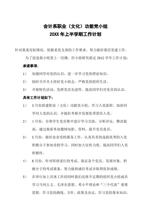 党小组工作计划
