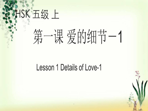 《标准教程HSK 上》第课《爱的细节》ppt课件