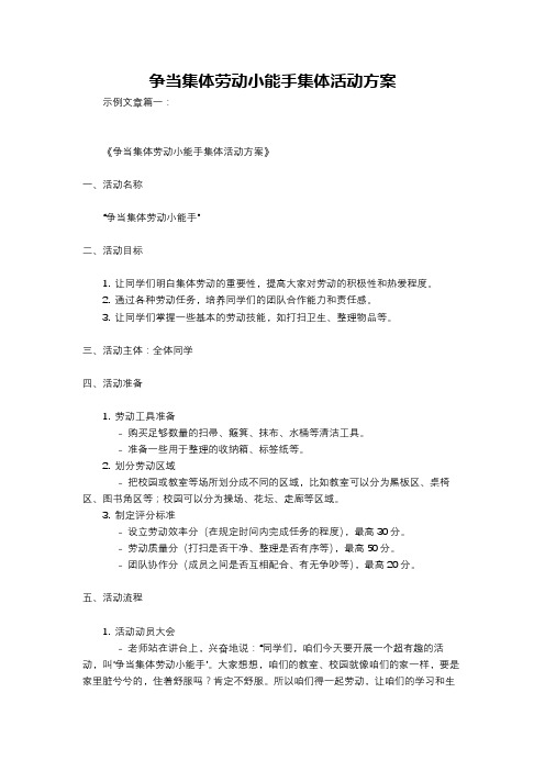 争当集体劳动小能手集体活动方案