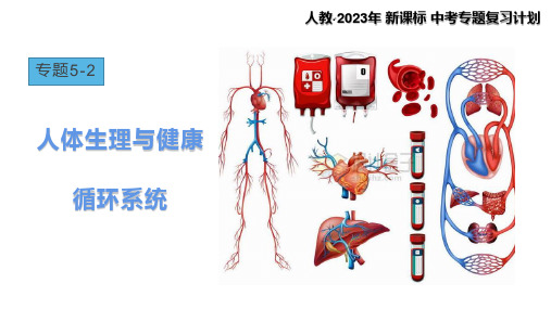 专题5-2+人体生理与健康-循环系统(上课用课件)-【过专题】2023年中考生物二轮精准高效复习