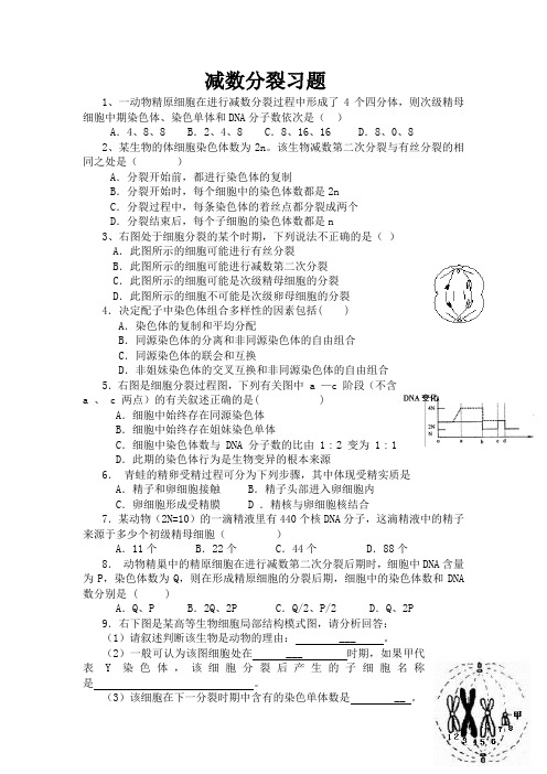 减数分裂和受精作用习题