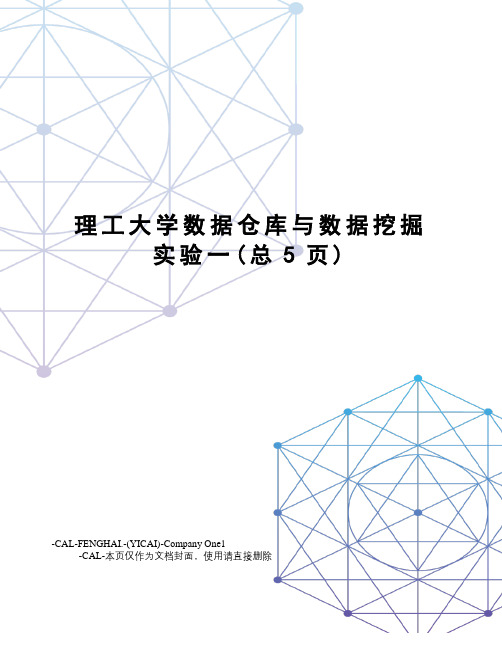 理工大学数据仓库与数据挖掘实验一