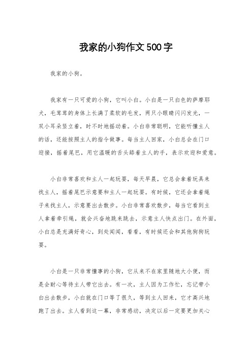 我家的小狗作文500字