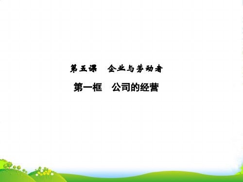 高中政治 第二单元251经营公司课件 新人教必修1