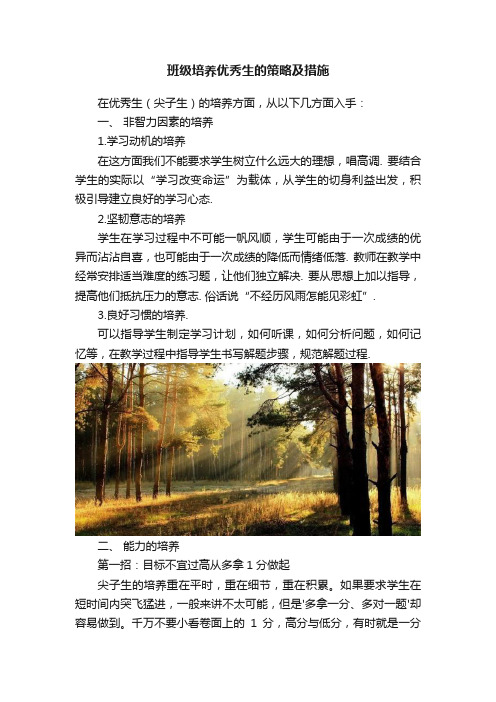 班级培养优秀生的策略及措施