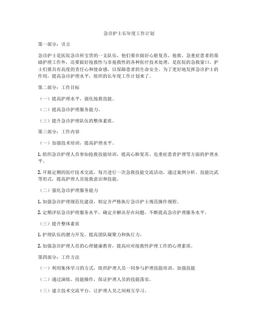 急诊护士长年度工作计划
