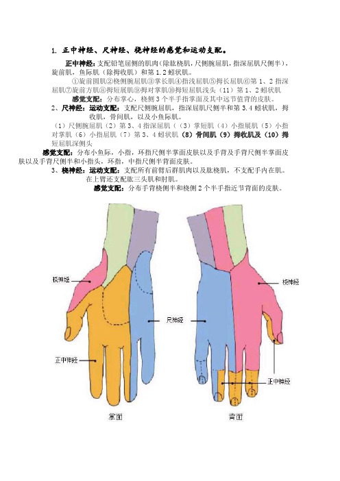 骨骼肌肉疾病作业治疗毕业考重点