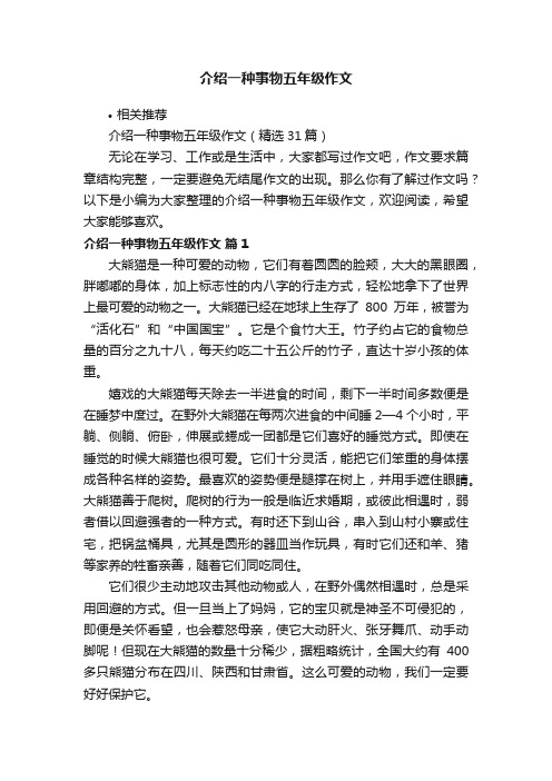 介绍一种事物五年级作文