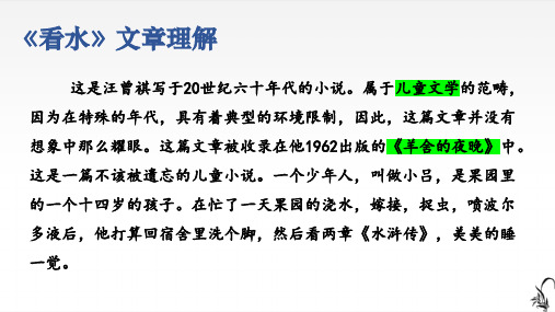 高考专题复习汪曾祺小说阅读《看水》课件20张