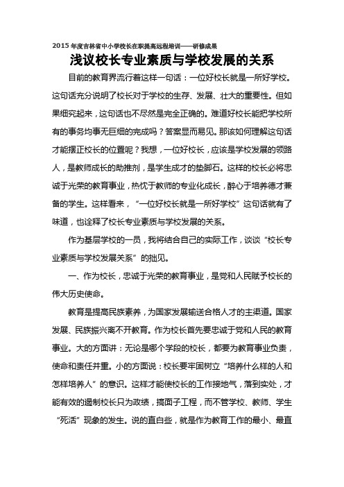 浅议校长专业素质与学校发展的关系