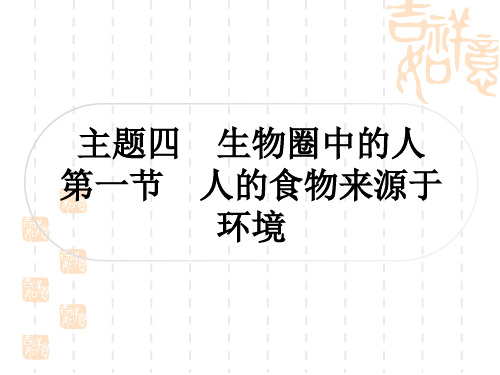 人教版中考生物考点过关练 主题四 生物圈中的人 第一节 人的食物来源于环境