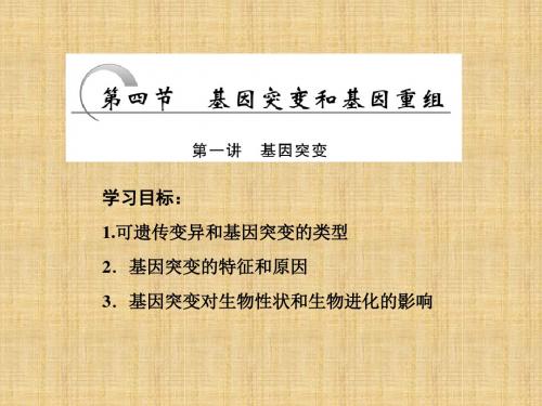 高中生物 第四章 遗传的分子基础 第四节 第一讲 基因突变名师课件 苏教版必修2