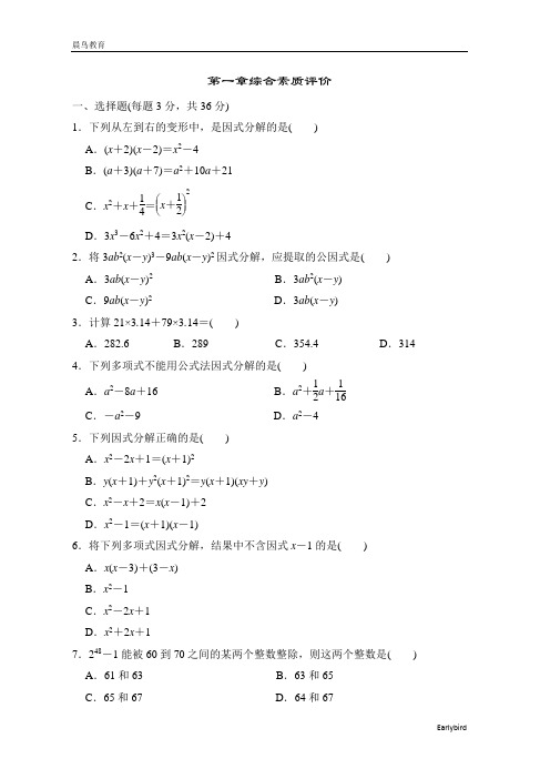 2022秋五四版八年级数学上册 典中点  第1章综合素质评价