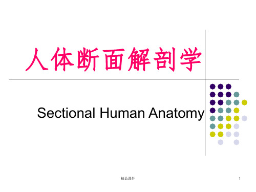 断面解剖颈部ppt课件