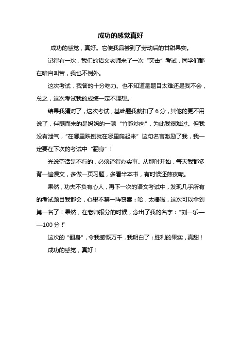 五年级作文：成功的感觉真好作文400字_1