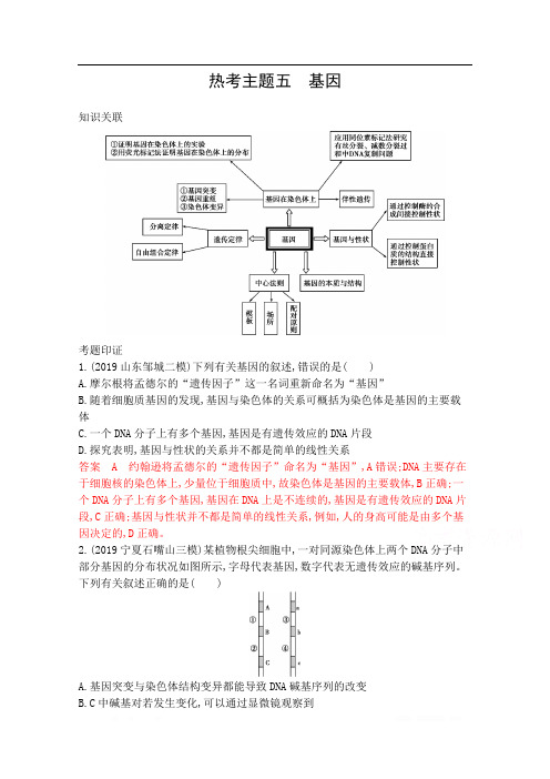 2020届高考生物山东版二轮复习训练题：第二篇 热考主题夺分必破 热考主题五 基因 