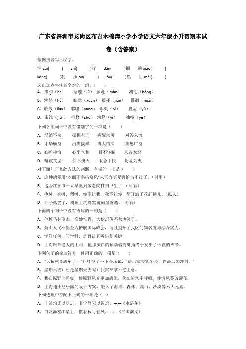 广东省深圳市龙岗区布吉木棉湾小学小学语文六年级小升初期末试卷(含答案)