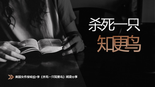 《杀死一只知更鸟》读书笔记PPT课件