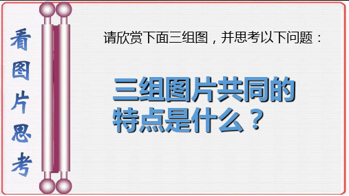 活动2剪裁与拼接图像三拼接图像