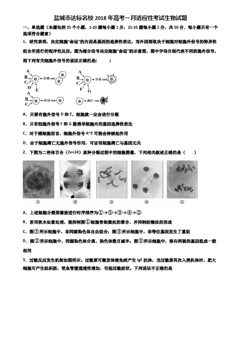 盐城市达标名校2018年高考一月适应性考试生物试题含解析