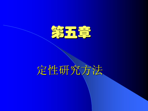 定性研究方法报告