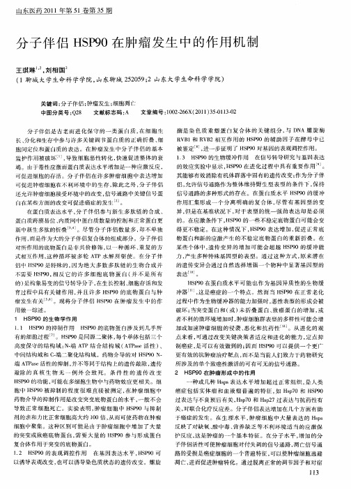 分子伴侣HSP90在肿瘤发生中的作用机制