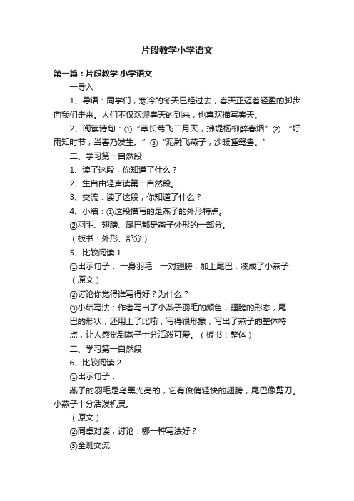 片段教学小学语文