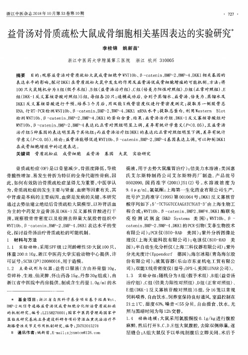 益骨汤对骨质疏松大鼠成骨细胞相关基因表达的实验研究