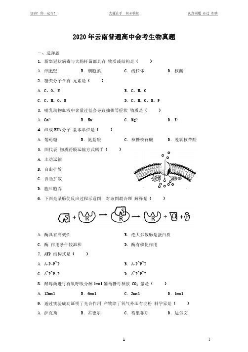 2020年云南普通高中会考生物试题试卷(完整版)