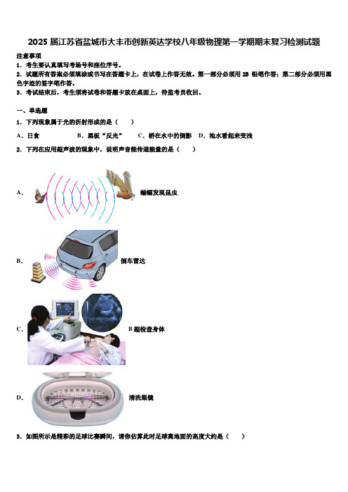 2025届江苏省盐城市大丰市创新英达学校八年级物理第一学期期末复习检测试题含解析