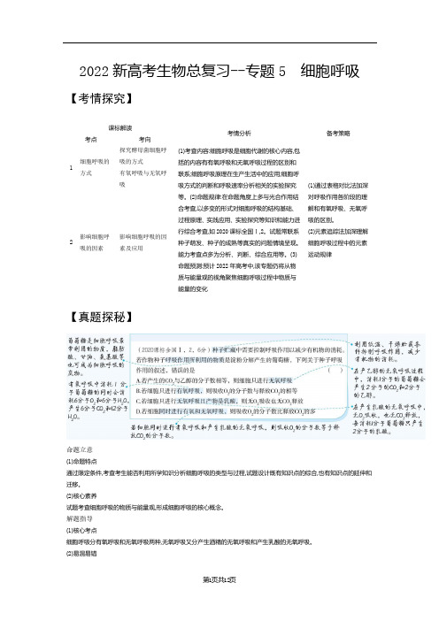 2022新高考生物总复习综合训练--专题5 细胞呼吸(解析版)