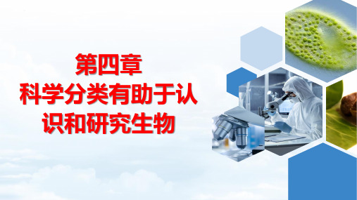 2.4.1依据生物的特征进行分类课件-2024--2025学年济南版生物七年级上册