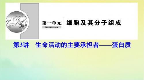 (新课标)高考生物一轮总复习第1单元第3讲生命活动的主要承担者——蛋白质课件