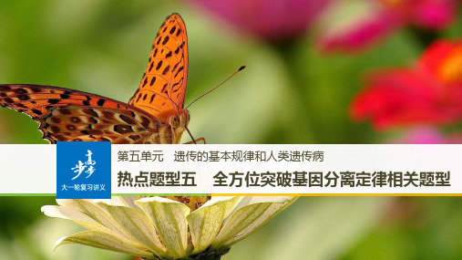 2019届最新高考生物一轮复习热点题型五