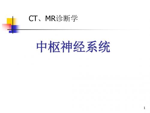 中枢神经系统CT,MRPPT医学课件