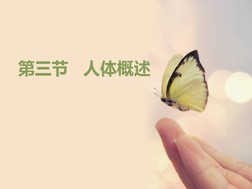 苏教版七年级生物下册《人体概述》PPT课件(2篇)